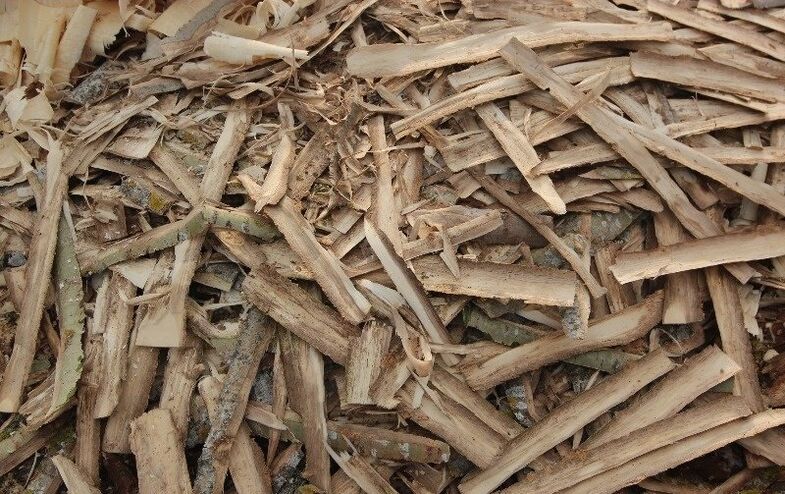 drebulės žievė nuo prostatito