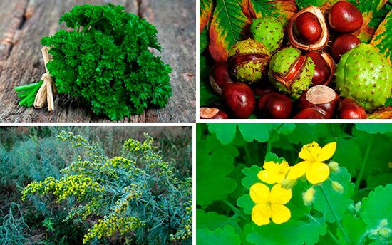 žolės prostatitui gydyti